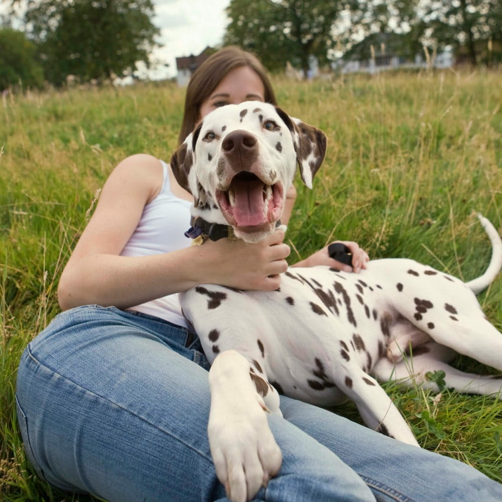 Our Chiropractic Services Owner with her pet dog relaxing in park